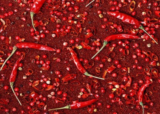 Papryka chili Kimchi w proszku Xinglong łagodna czerwona chili w proszku 40m