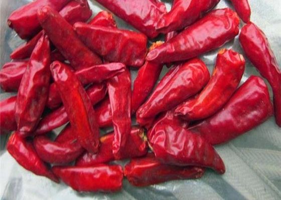 Sundried Facing Heaven Chilli 3 CM Hot Pot Chaotian Chilli Pikantny Zapach