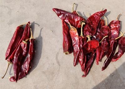 Suszone długie czerwone chilli Słodka organiczna papryka Guajillo o długości 10 cm