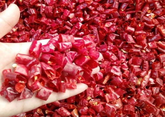 Różnorodność papryki chili Pierścień papryki pikantnej do przypraw z pojedynczych ziół