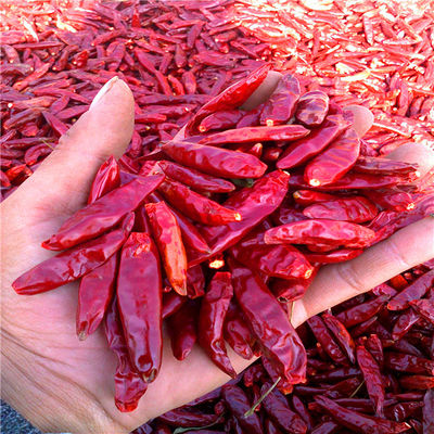 Organic De Arbol Chile Tianjin Suszone Pikantne Papryki 50000SHU Super Hot