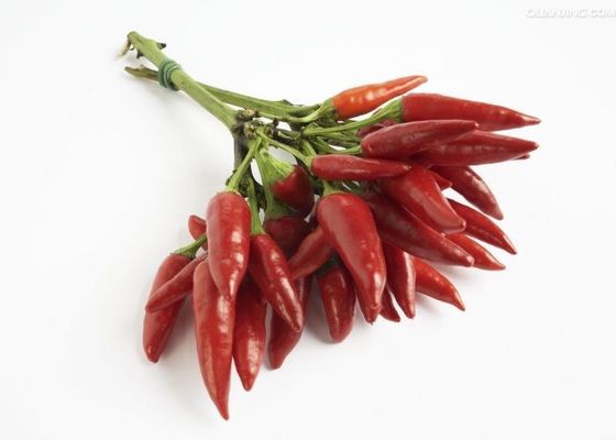 S17 Suszone czerwone papryki chili w kształcie sztyftu w całości chili w strąkach przyprawy