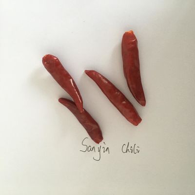 7 CM suszone długie czerwone chilli 50000SHU suszone chili Tianjin ISO