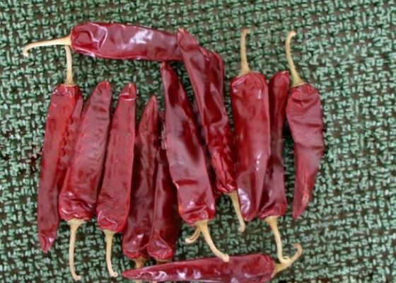 Numer siatki Etykietowanie i identyfikacja Suszone czerwone chilli wilgoć≤14% dla produktów