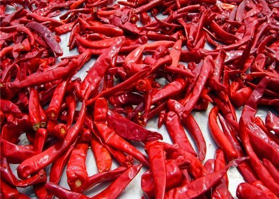 Chili bez łodyg chińskich suszonych papryczek chili 819 High SHU suszonych ostrych chilli