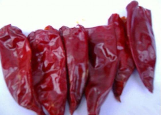 HACCP Suszona Papryka Papryka Pojedyncze Zioła Suszone Całe Czerwone Chilli bez łodyg