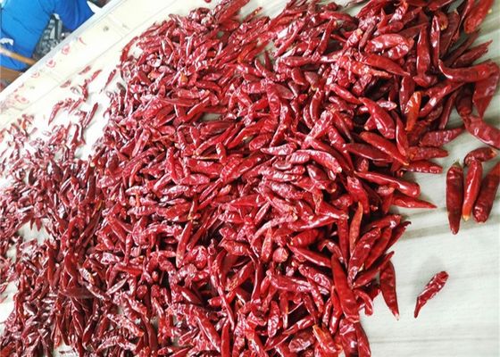 3CM suszone ptasie oko Chilli Ostre czerwone strąki chili odwodnione bez łodygi