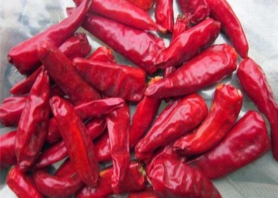 Składniki z chilli przechowywać w chłodnym i suchym miejscu