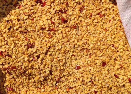 Granulowane suszone nasiona chili 10PPB 15000SHU Pikantne nasiona pieprzu HACCP