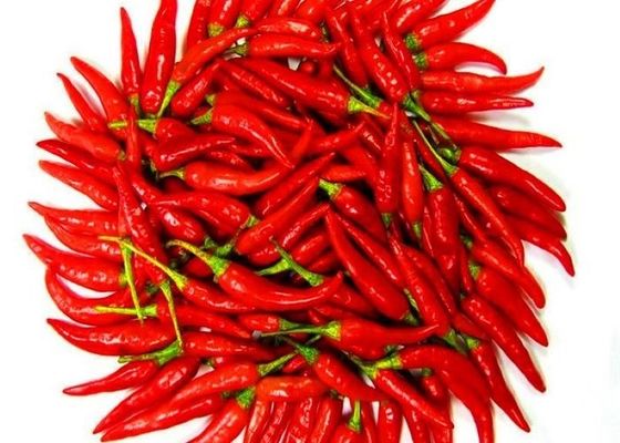 Gorące 10000-20000shu Suszone ptasie oczy chili AD Proces suszenia pojedyncze zioła Przyprawy