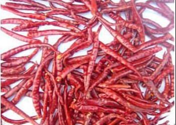 30000SHU Chińskie suszone papryczki chili Ostre czerwone strąki chili Hot Smaczne