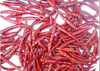 Wysoka wartość odżywcza Czerwone suszone papryki z paprykami chili