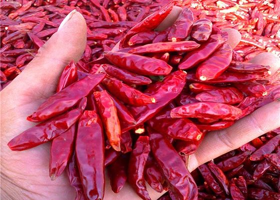 Cała suszona czerwona papryka chili bez łodyg 20000SHU Pojedyncze zioła