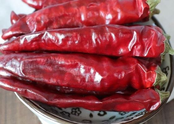 Sadzenie bazy i przetwarzanie gorącej chińskiej suszonej papryki chili Nature Red