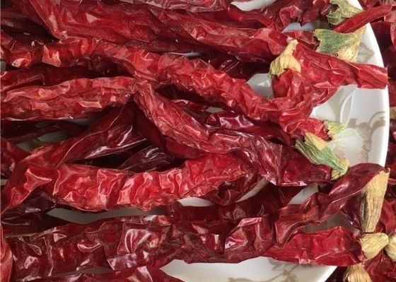 Guizhou Mantianxing Proso Pieprz Suchy Chili Gorący Garnek Przyprawy Surowiec Przyprawy
