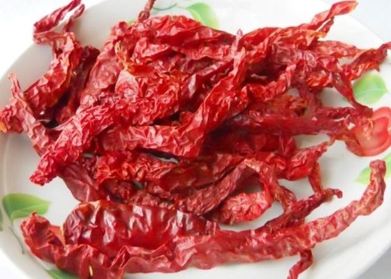 Guizhou Mantianxing Proso Pieprz Suchy Chili Gorący Garnek Przyprawy Surowiec Przyprawy
