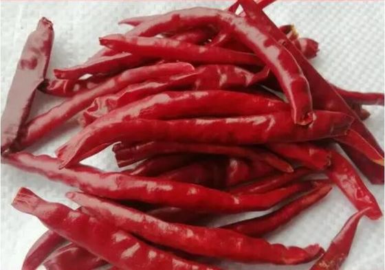 Chaotian Suszone czerwone chili Całe czerwone chili Tianjin suszone chili