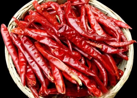 Niska wilgotność suszona czerwona papryka cayenne chili 12% Max 1% Wysoka czystość