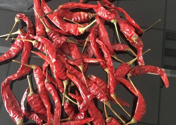 Red Yidu Chili Tianying Jinta Chili Amerykańska czerwona Chilli Nowa uprawa FDA HACCP ISO KOSZER