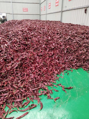 Wyróżnienie A Suszone Guajillo Chili Całe / Baston Nieczystość 0,3% Maksymalny stopień 10-15 cm