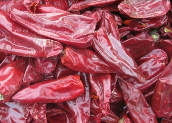 8000 SHU Naturalny Yidu Chili Czerwony Pieprz Beijinghong Jinta Chilli