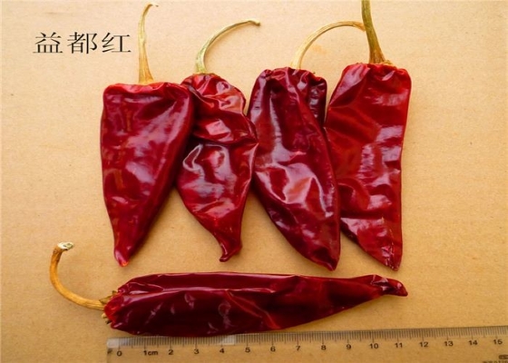 Ekologiczna papryka chili Yidu Beijinghong Jinta chili 10 cm 12% wilgoci