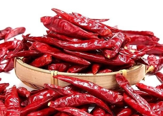 Tianjin Tien Tsin Suszone czerwone papryczki chilli do gotowania składnik