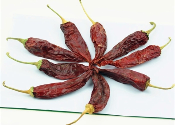 Czerwony Jinta Chili Pepper Fruity Smoky Aroma 8%-12% wilgoć 10-15 cm