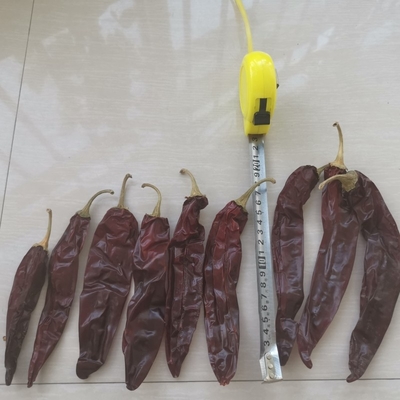 Całe / Pałeczka 10-15 cm Długość Suszone guajillo chili do gotowania