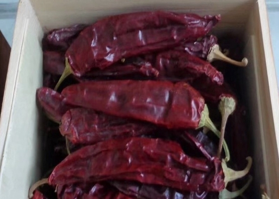Całe guajillo chili z lub bez łodygi 500SHU Czerwony mocny ostry smak chili