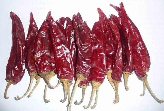 Chiles California Suszone Guajillo Chili Duże Rozmiary Zbierane Ręcznie Naturalne Czerwone
