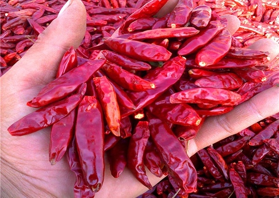 20000SHU Suszone chińskie chili do pakowania próżniowego pikantne Chaotian / Tianjin Chilli