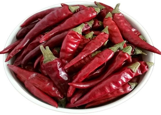 Gorące 50 ostrych suszonych czerwonych papryczek chili 4 - 7 cm Suszone w słońcu 25 kg/sak