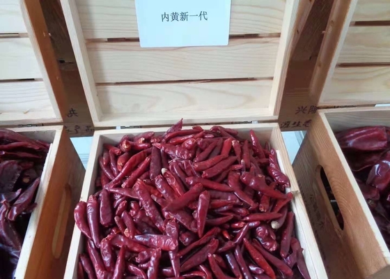Chińska Chaotian Syczuan bez łodyg suszona czerwona papryka chili, wysoka SHU