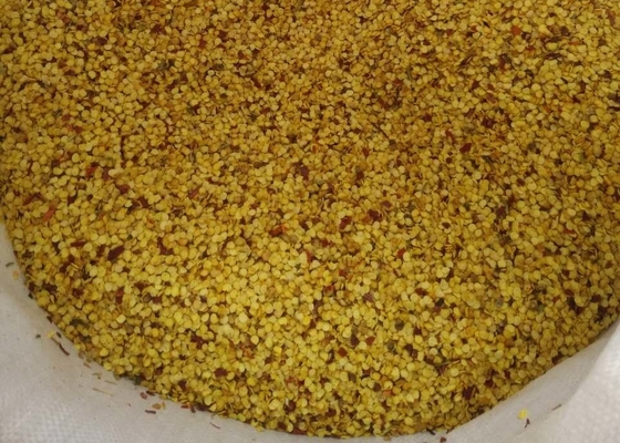 SHU5000-15000 Suszone nasiona chili Tianjin lub Yidu Hybrid do przyprawy w proszku