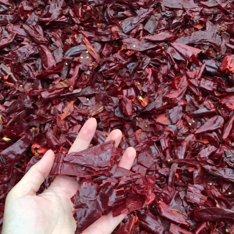 Czerwony pierścienie Guajillo Chilli wyciąć 1,5 cm do gotowania i smakowania potraw
