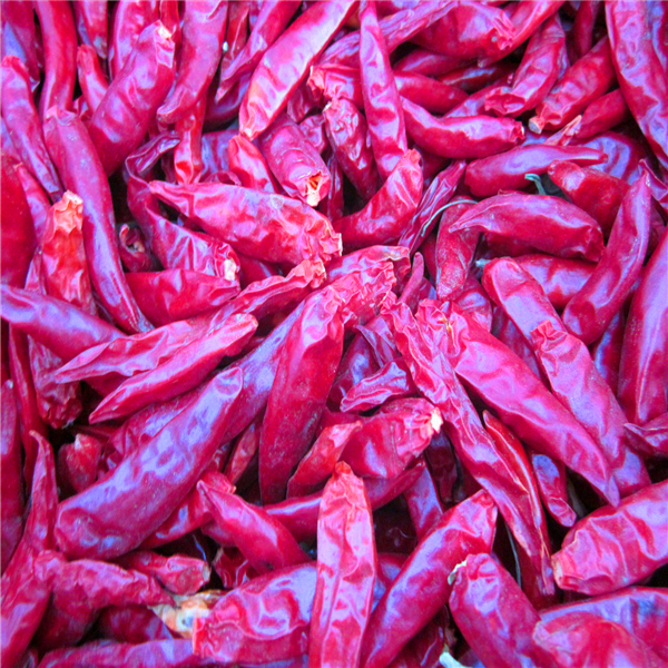 4-7cm Cayenne Suszone czerwone papryki chili Warunki przechowywania
