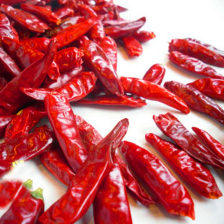 Halal bezpłodowe suszone czerwone papryki chili o maksymalnej wilgotności 14% - w chłodnym i suchym miejscu