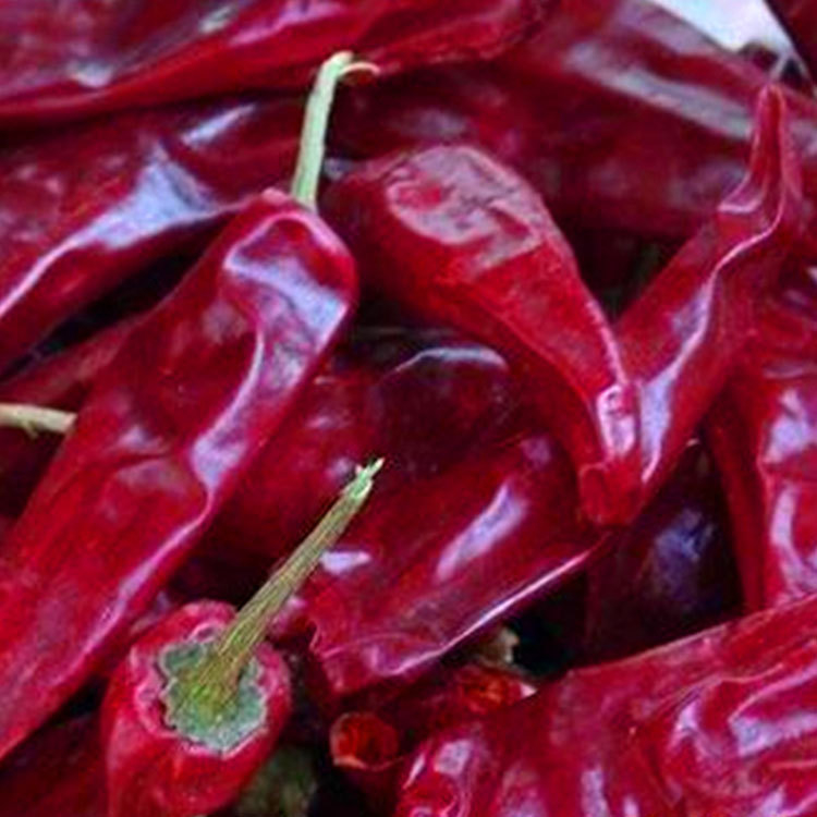10 kg/worek Czerwone suszone papryki chili z mocą i papryki bez pni lub zcięte z pni