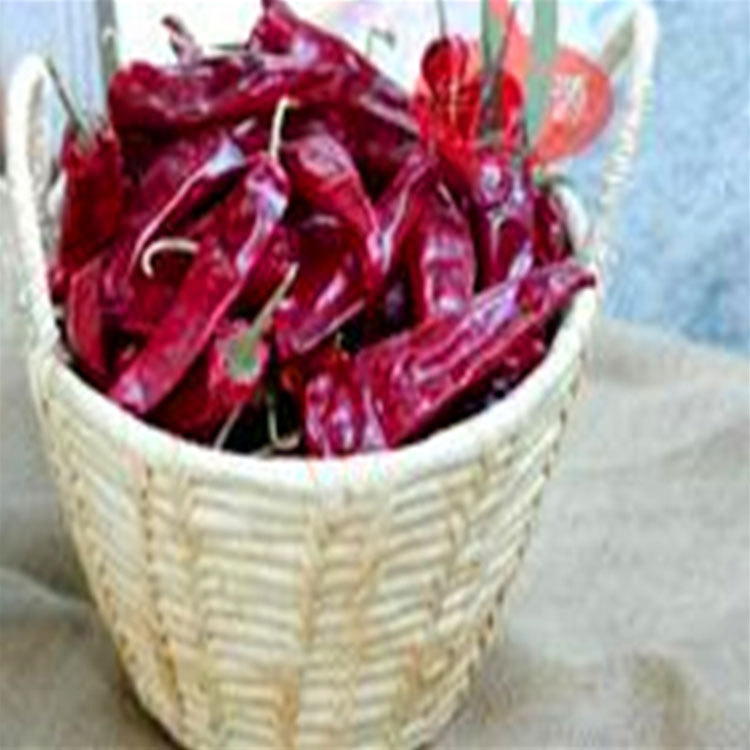 Pochodzenie Aromat pikantny Chińskie suszone papryki chili ŻADNE Alergen Informacje 14 Cm