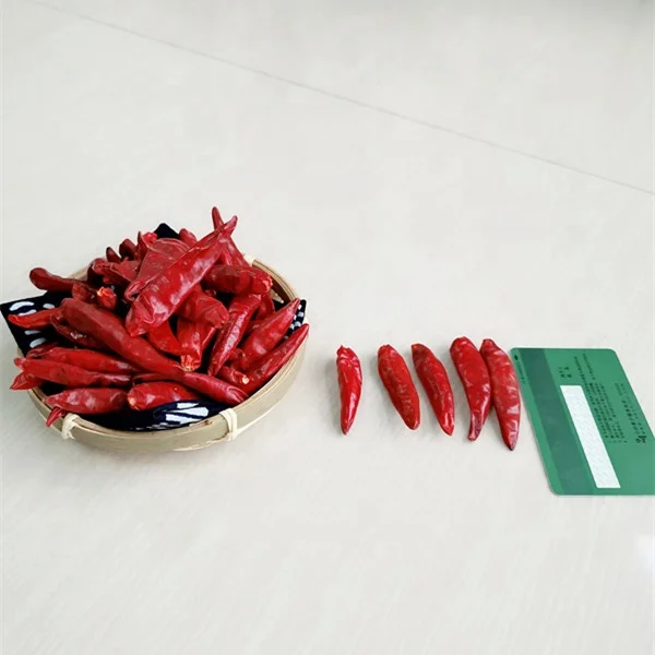 Okrągłe czerwone chili z Tianjin, podstawa do przygotowania smacznych potraw chińskich, 100 g