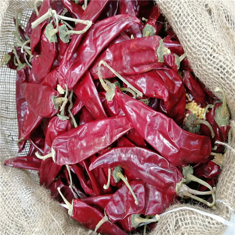 00,1% Maksymalna nieczystość Czerwone guajillo, mocne i ostre papryki suszone o smaku chilli