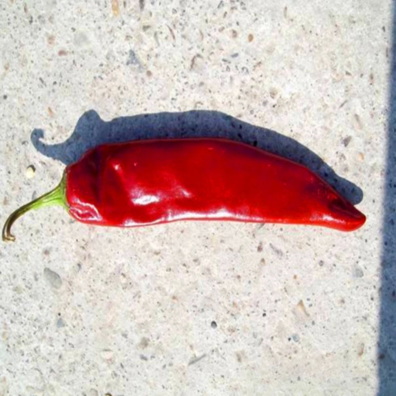 Odważna paprika o intensywnym smaku chili, bogaty kolor czerwony i 8-12% wilgoci
