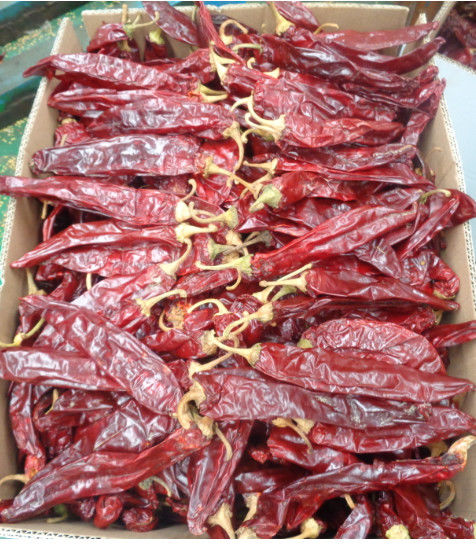 Odwodniony czerwony słodki paprika chili Ekstrakcja pigmentu koloru gorące papryki chili